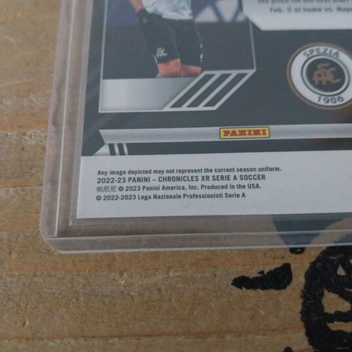 Salvatore Esposito Panini Chronicles rookie card like new
