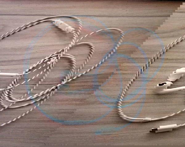 Apple Original Жични слушалки Type C
