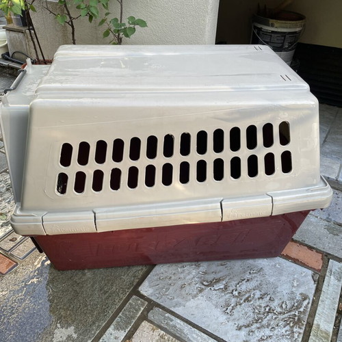 Petmate Vari Kennel pet carrier new, 80x60x60 cm, for wolfdog