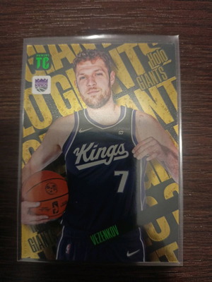 Holo Giant Vezenkov NBA card new
