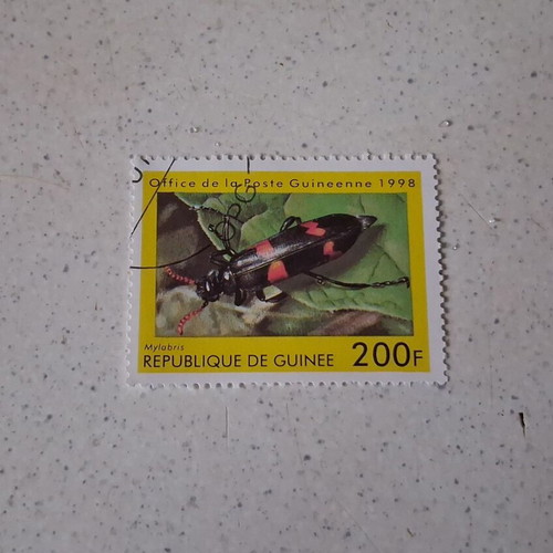 Guinea 1998 200F Mylabris insect stamp, sealed