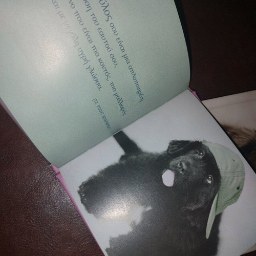 Photographic albums for animals like new, Pantominoi Filoi and Show Me Your Friend