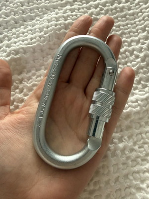 Steel Oval Pro Lock Carabiner CAMP
