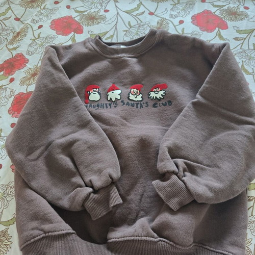 Zara sweatshirt used, size 116 cm, brown, age 6