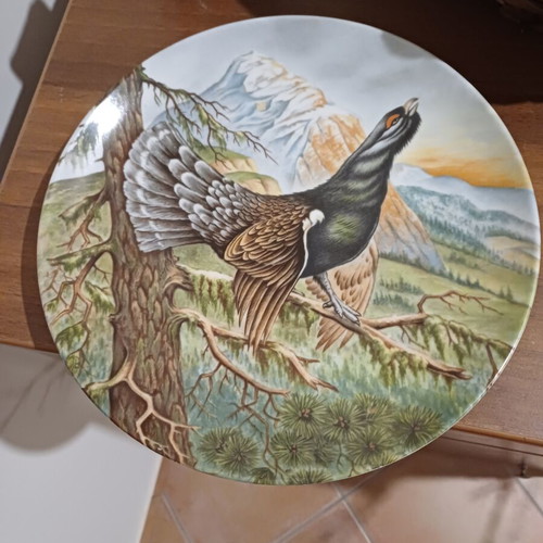 Vintage porcelain plate Kaiser with grouse bird used