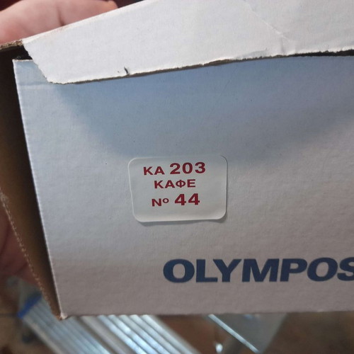 Olympos OL203 brown men's lace-up canvas shoes new