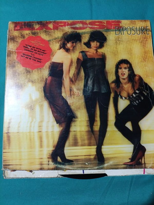 Exposé Exposure vinyl record