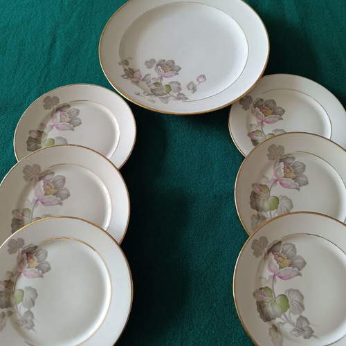 Vintage Rosenthal dessert set like new, 6 small and 1 large plate