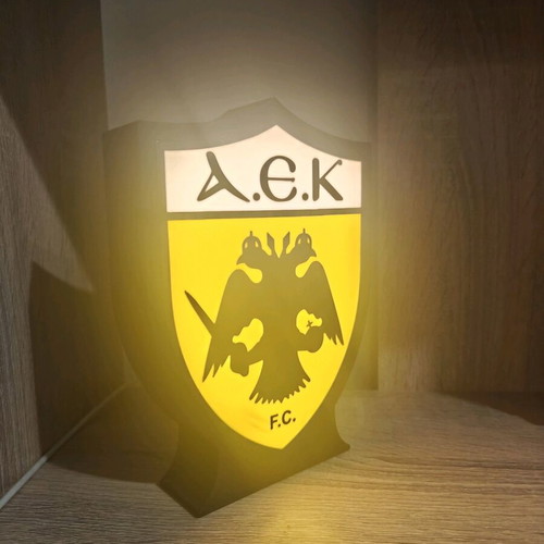 AEK 3D Printed Lamp New with LED Lighting