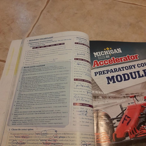 Michigan Ecce B2 Accelerator book like new