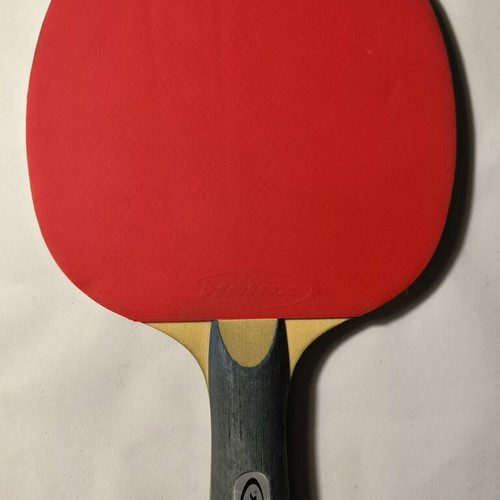 Table tennis set used with Stiga and Halex paddles