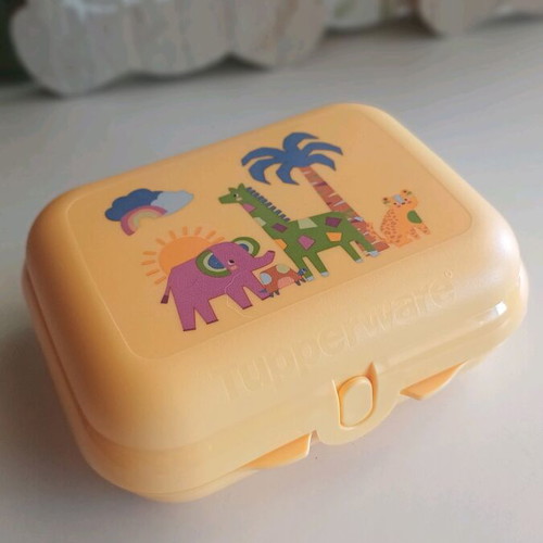 Tupperware Medium Twin new
