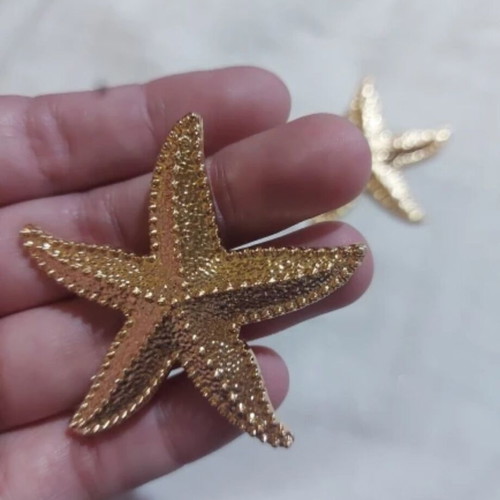 Earrings new pair starfish design