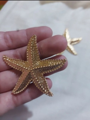 Earrings new pair starfish design