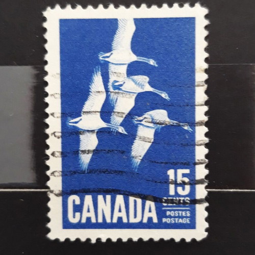 Γραμματόσημο Canada 1963 με μεταχειρισμένη εικόνα Canada Goose