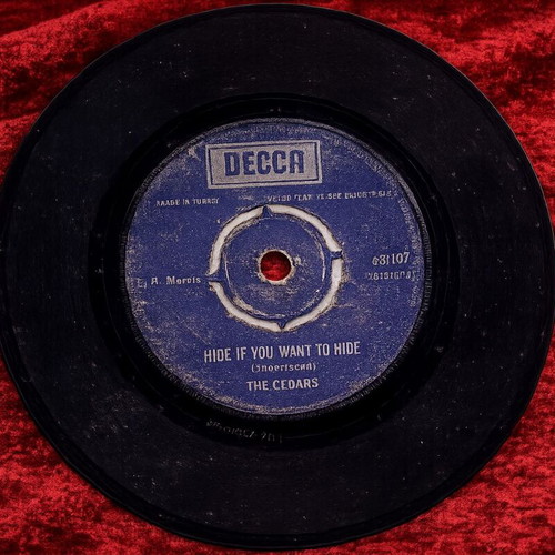 The Cedars For Your Information vinyl single used, rock