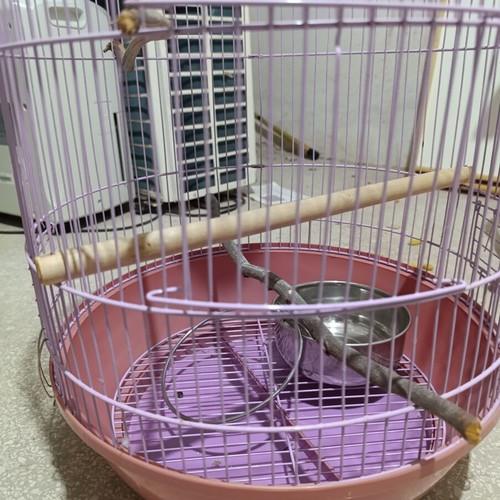Metal Birdcage in Purple Like New