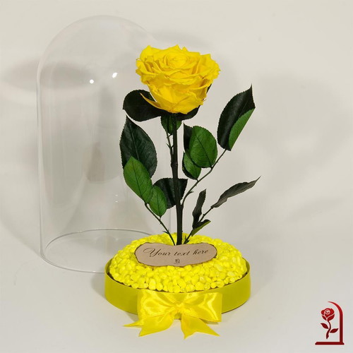 Yellow natural preserved rose in large glass dome made to order