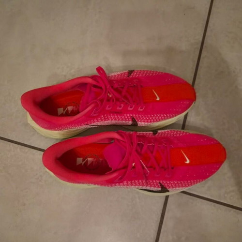 Nike Pegasus Plus running shoes, multicolor, size 44.5
