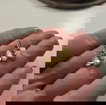  Σκουλαρίκια