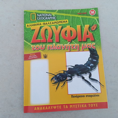 Scutigera insect from National Geographic series with book like new