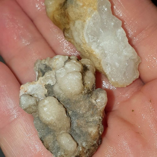 Lot of fossils and rocks from Greece new, educational collection