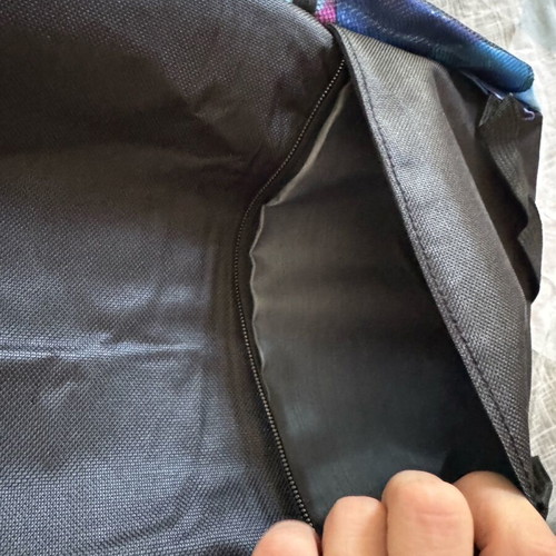 Large Inside Out backpack like new