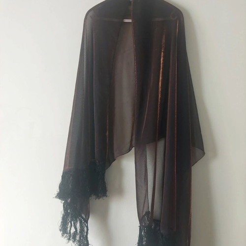 Dark brown scarf used with shimmer and fringes