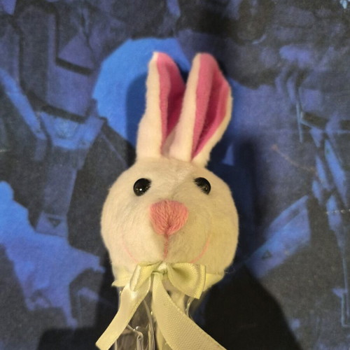 Easter Bunny Pencil Case like new