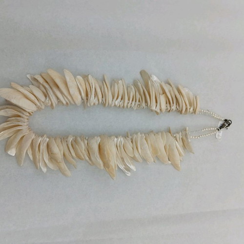Necklace with shells new