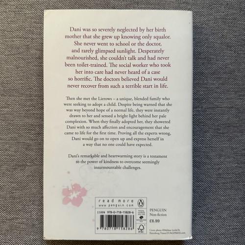 Dani's Story book used, English