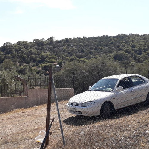 Land in Aliki, Boeotia