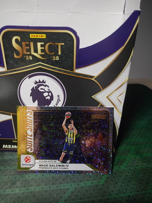 Wade Baldwin IV Suite Shots card like new
