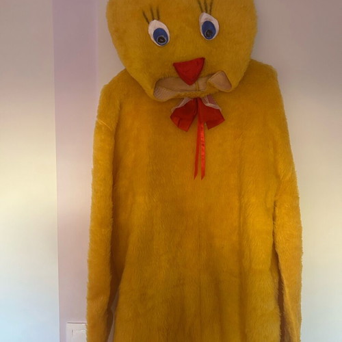 Carnival costume used, size Large