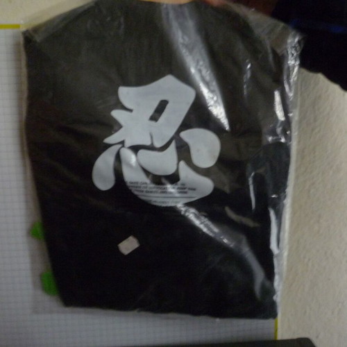 Ninja carnival costume new