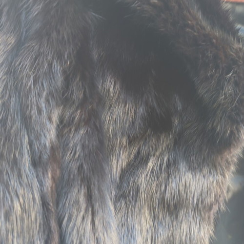 Authentic short fur bolero like new, dark brown and black