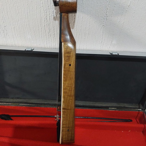 Pontian lyra Zilokapani with double case new, handmade