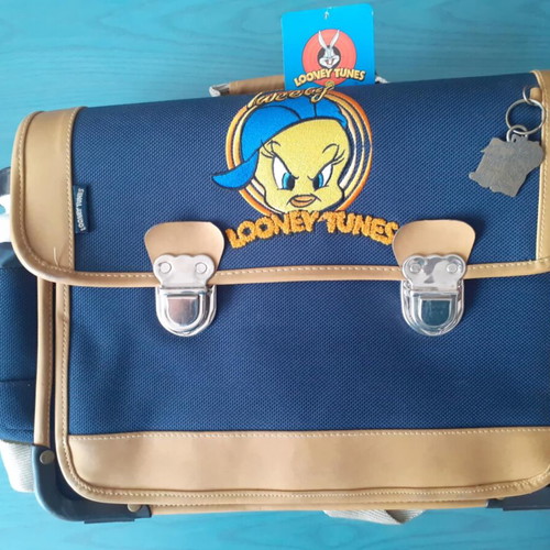 Looney Tunes School Bag for Primary School New, Square