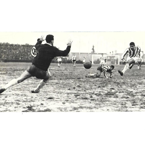 Olympiacos sports photos used, pack of 13 authentic
