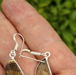 Fossilized Coral Earrings with Opal Finish, Handmade, 925 Silver Plated, new