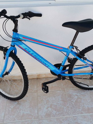 Clermont Freeland mountain bike 26 inch with extra lights