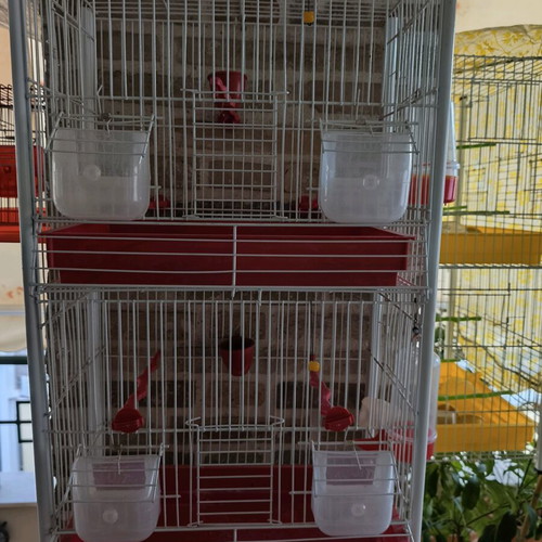 Double birdcage used like new