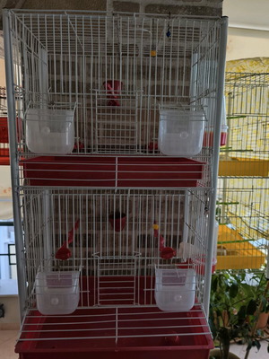 Double birdcage used like new
