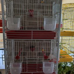 Double birdcage used like new