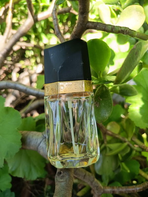 Estée Lauder Knowing Eau de Parfum 1 ml used, authentic