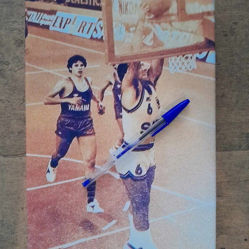 Canvas with rare dunk by Nikos Galis like new 30x21 cm