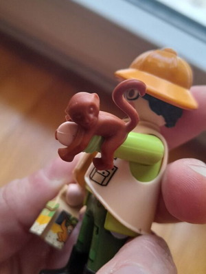 Playmobil Series Αγόρι Καινούργιο