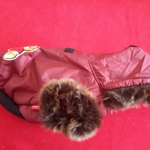 Doggy Dolly Medium dog jacket new