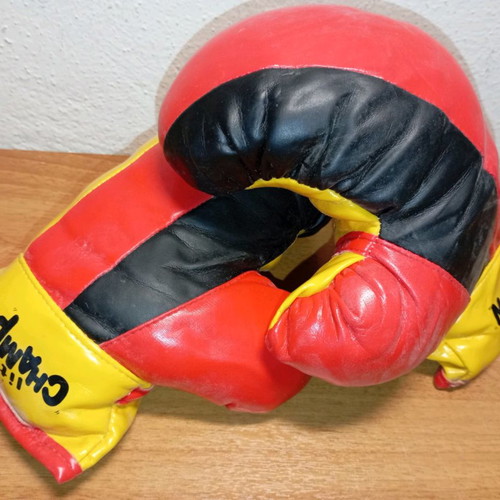 Little Champion vintage boxing gloves used