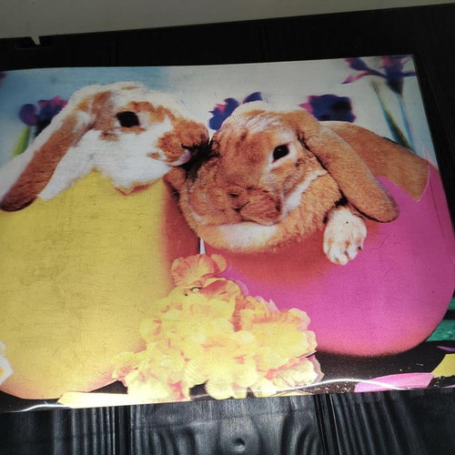 3D Picture With Bunnies In Eggs, Like New, 39x29 cm
